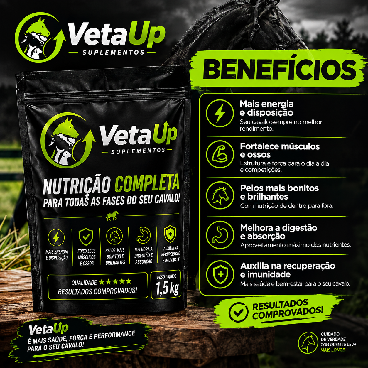 Validação de resultados Veta Up