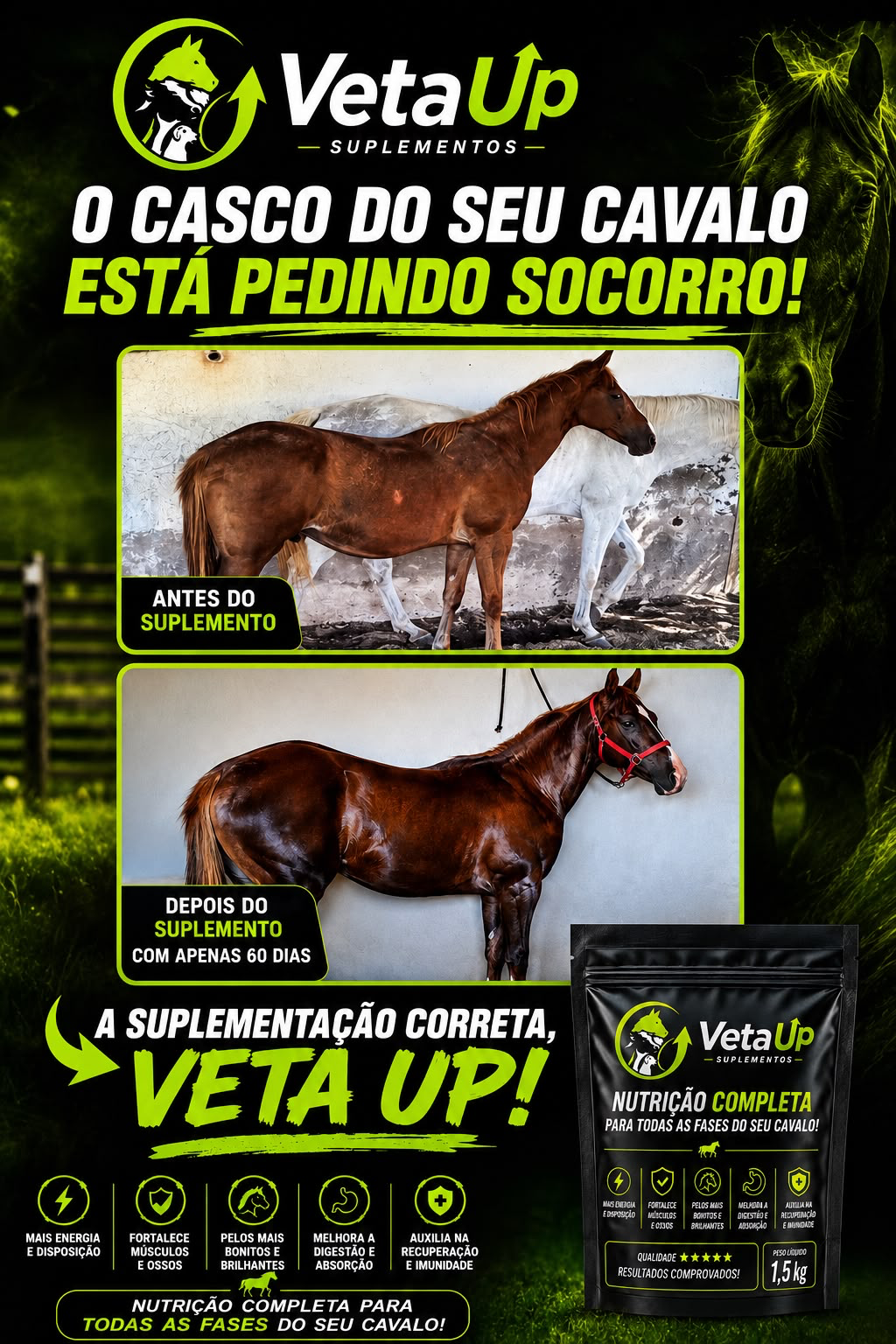 Cavalo antes e depois de 60 dias com o suplemento Veta Up